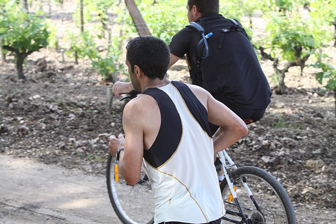 Diapositive suivante